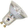 Bailey | LED-lampa | GU10-fäste | Spot | 50mm | 5,5W