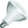 SPL | IR-lampa R-lampa/reflektorlampa | Stor sockel E27 | 375W
