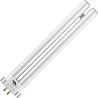 SPL | CFL | G10q4-fattning | T6 | 15W | UV-insektslampa med blacklight | 20cm
