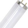 SPL | lysrör | G13-fattning | T12 | 20W | Blacklight UV-insektslampa | 59cm SPL | lysrör | G13-fattning | T12 | 20W | Blacklight UV-insektslampa | 59cm