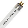 Lumilux T5 FH HE 35W - 865 Dagsljus | 145cm
