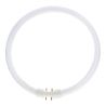 MASTER TL5C Cirkulär 40W - 840 Kallvit | 30cm