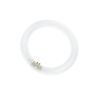 T9 Circline | 40W | G10Q | 840 Kallvit