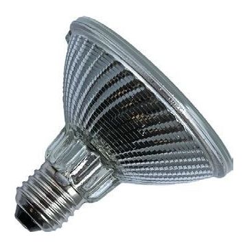 Halogenlampa | Stor sockel E27 | Spot | PAR30 | Ljusstark | 96mm | 50W