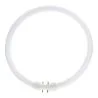 MASTER TL5C Cirkulär 40W - 840 Cool White | 30cm