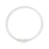 MASTER TL5C Cirkulär 22W - 840 Cool White | 23cm