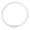 MASTER TL5C Cirkulär 40W - 830 Varmvit | 30cm