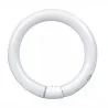 T9 Circline | 30W | G10Q | 830 Varmvit