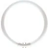 Philips | 2GX13-armatur | lysrör | 18mm | 23,5W