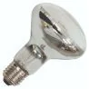 Bailey | LED Reflektorlampa | Stor sockel E27 | 4W Dimbar