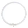 T5 Circline | 55W | 2GX13-armatur | 840 Cool White | 4-Pin | Φ300MM