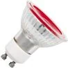 SPL | LED-glödlampa | GU10-fattning | Spot | Röd | 50mm | 5W