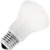 Glödlampa | Stor armatur E27 | Superluxlampa | Opal | 75mm | 150W